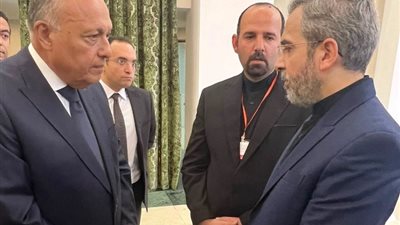 وزير الخارجية يلتقي الرئيس الإيراني المؤقت ويقدم واجب العزاء في «رئيسي»