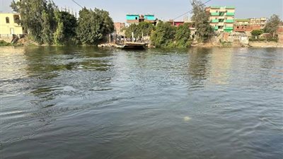 معدية أبو غالب، انتشال الجثة الخامسة من نهر النيل في حادث سقوط ميكروباص أشمون