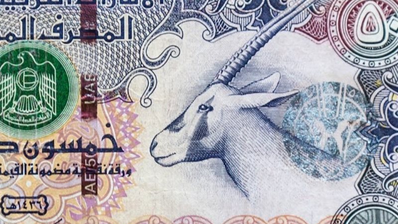 سعر الدرهم الإماراتي