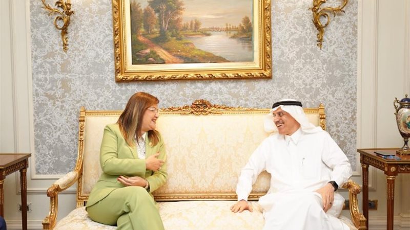 هالة السعيد وزيرة التخطيط والتنمية الاقتصادية