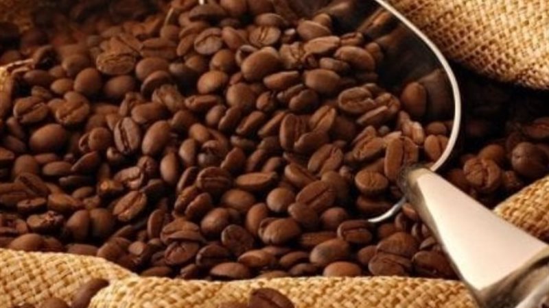 أسعار البن