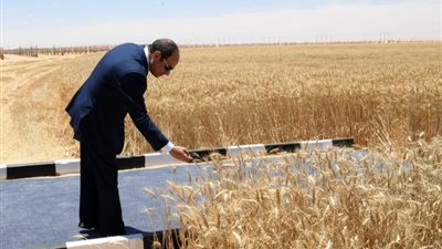 الرئيس السيسي يشهد افتتاح المشروعات التنموية بجنوب الوادي اليوم