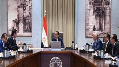 الحكومة تبحث مع «الزراعة» اللبنانية التعاون في مجال الاستزراع السمكي