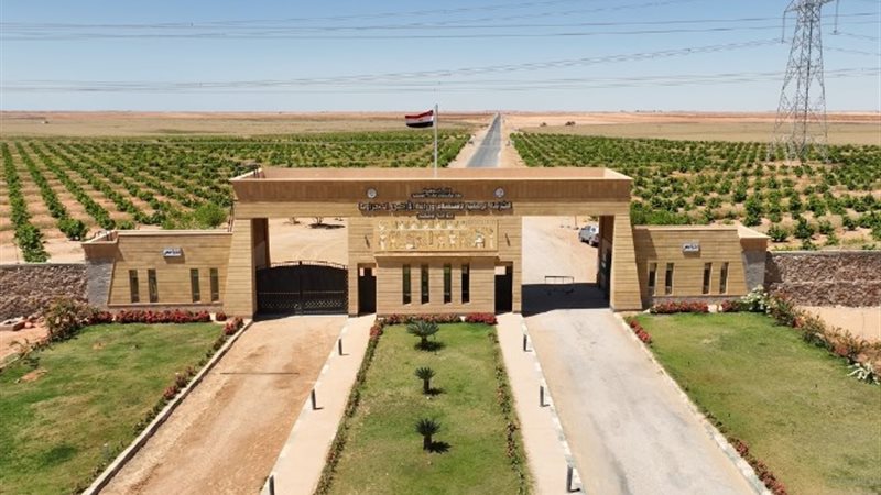 مشروعات الشركة الوطنية لاستصلاح وزراعة الأراضي الصحراوية