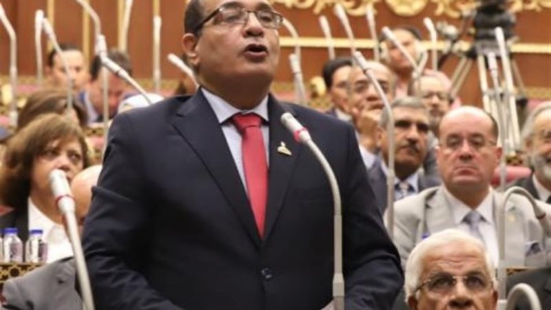 النائب حافظ فاروق حافظ محمد حسين