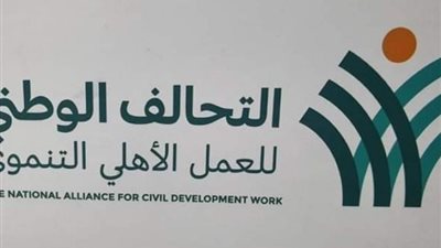 «تشريعية النواب»: مبادرات التحالف الوطني غيرت حياة ملايين المصريين