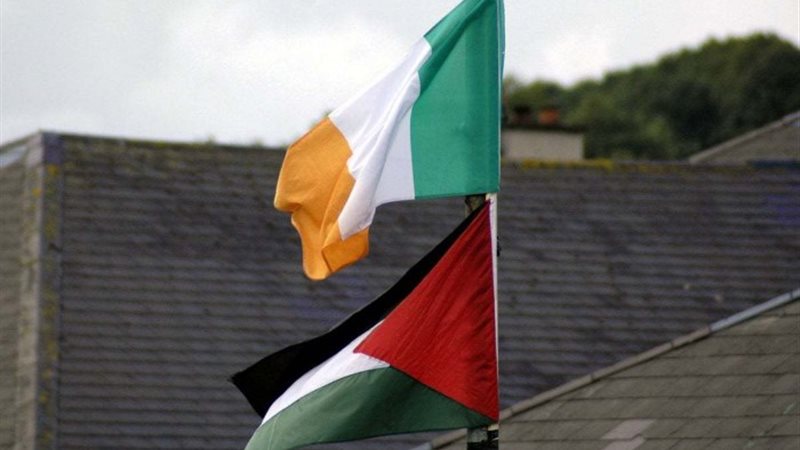 علم دولتي إيرلندا وفلسطين