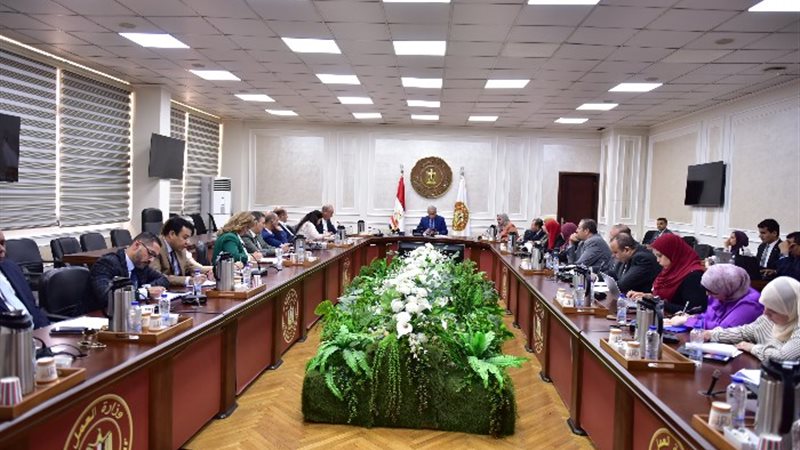 حسن شحاتة وزير العمل