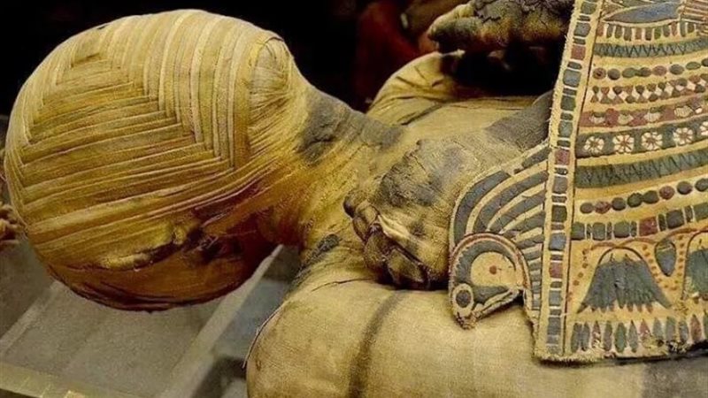 مومياء باشيري
