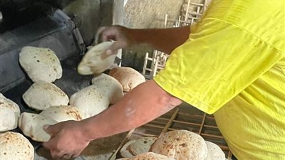 انتظام صرف العيش بـ 30 ألف مخبز بالمحافظات، وجولات ميدانية لمديريات التموين