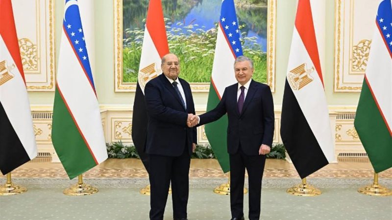 المستشار عبد الوهاب عبد الرازق، رئيس مجلس الشيوخ