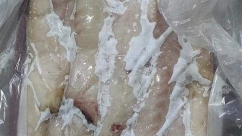 جانب من المضبوطات