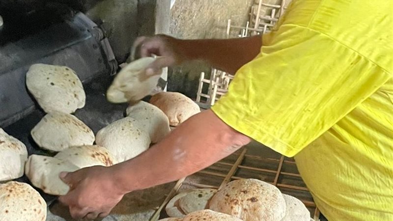 أرشيفية