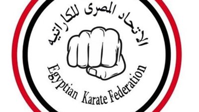 اتحاد الكاراتيه يحقق في أحداث الشغب ببطولة قطاعي الجيزة والقليوبية