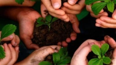 مصر تحتل المرتبة الثانية إقليميًا والـ22 عالميًا في مؤشر أداء تغير المناخ 2024