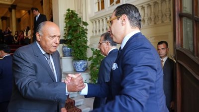 شكري يشدد على أهمية إعادة فتح معبر رفح وعدم تحويله لمسرح عمليات
