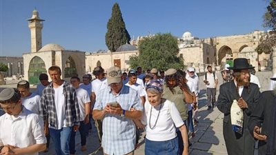 مئات اليهود يقتحمون المسجد الأقصى صبيحة «مسيرة الإعلام» (صور)