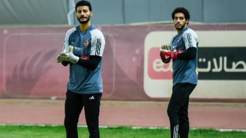 الشناوي وشوبير