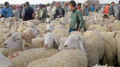 عيد الأضحى، المضحي لا يحلق شعرا ولا يقص ظفره أول 10 أيام من ذي الحجة
