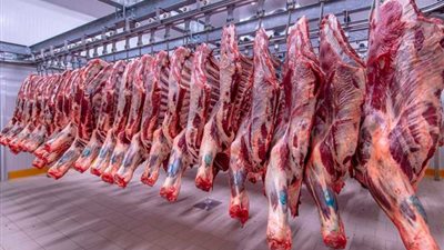 بمناسبة عيد الأضحى، هدية من «الأوقاف» للأسر الأولى بالرعاية الأسبوع المقبل