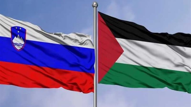 علم فلسطين وعلم سلوڤينيا