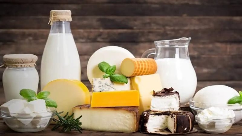 أسعار الألبان والجبن