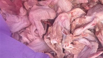 ضبط 182 كيلو مواد غذائية منتهية الصلاحية في دمياط