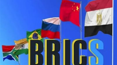 نائب رئيس غرفة «بريكس»: مصر يمكنها إضافة الكثير للمجموعة