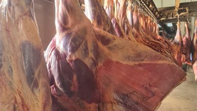 استعداداً لعيد الأضحى، «التموين» تطرح لحوم ودواجن بتخفيضات تصل إلى 20%