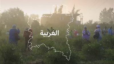 تقرير دولي يسلط الضوء على ازدواجية معايير دعاة حقوق الإنسان بشأن عمالة الأطفال
