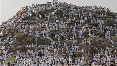 ما حكم توجه الحجاج إلى عرفات يوم التروية بدلا من «مِنًى»؟ «الإفتاء» تجيب