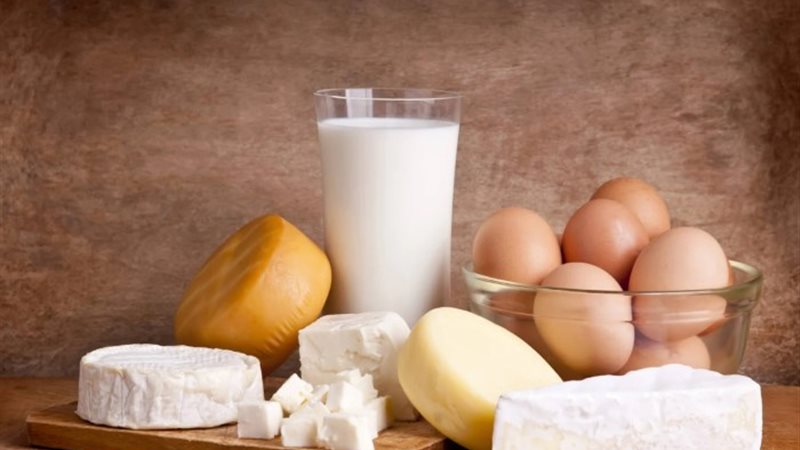 تراجع أسعار الألبان