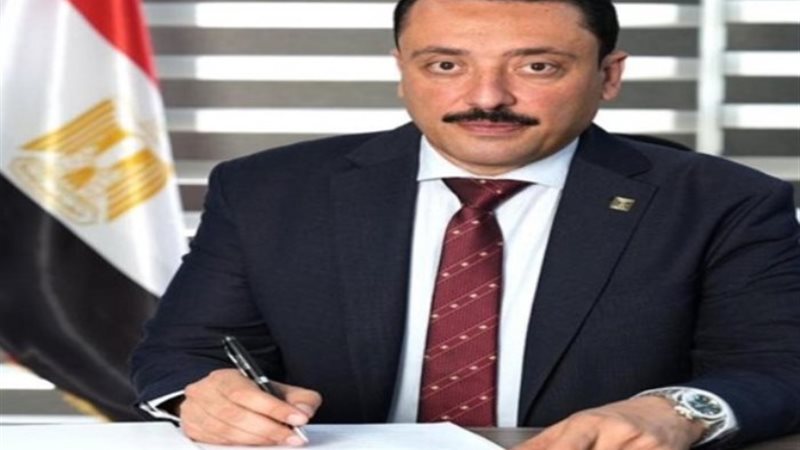 المهندس محمد رزق