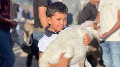 رغم أنف العدوان الإسرائيلي، الفلسطينيون يستعدون لعيد الأضحى من الضفة الغربية