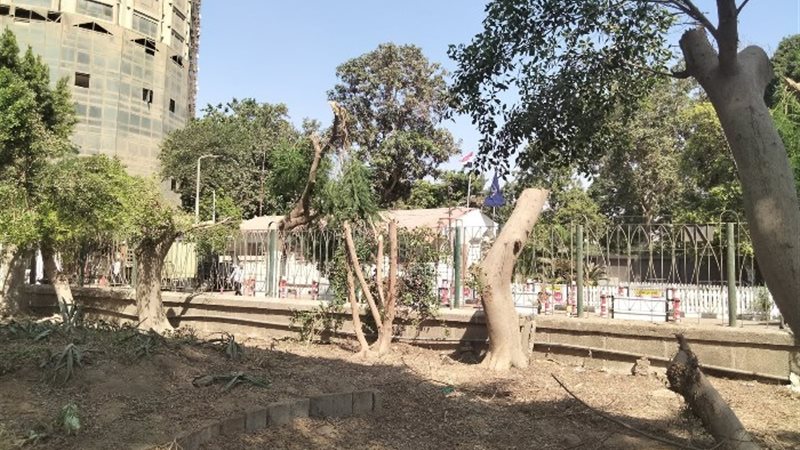 قطع الأشجار