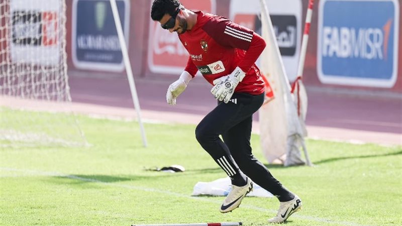 محمد الشناوي