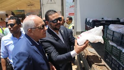 محافظ الجيزة يشهد توزيع 12.5 طن لحوم أضاحي على أسر عمال النظافة (صور)