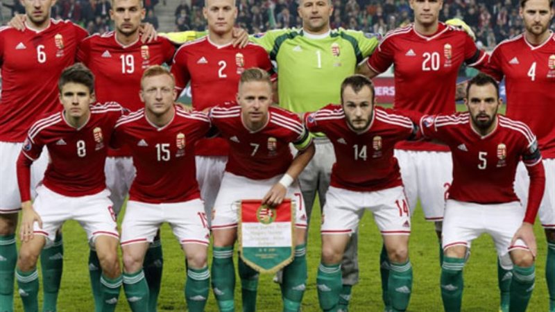 بث مباشر مباراة المجر وسويسرا في بطولة أمم أوروبا يورو 2024