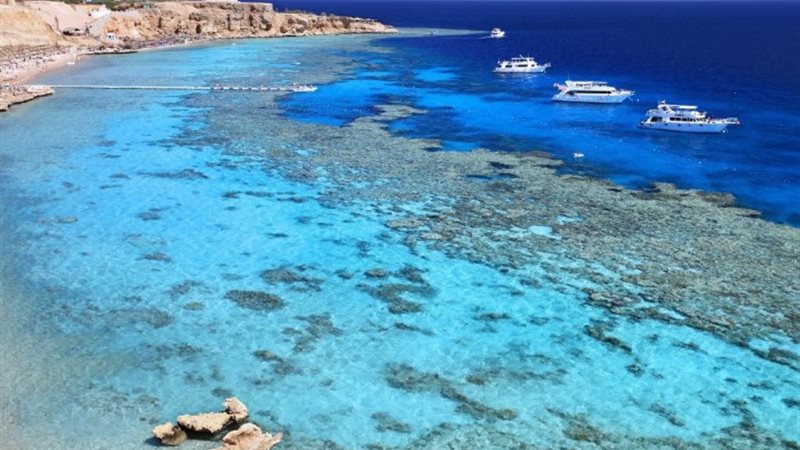 مرسى مطروح