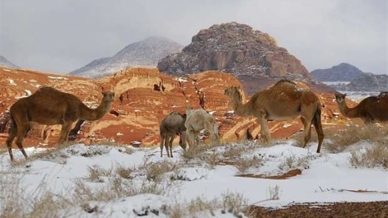 المحميات الطبيعية