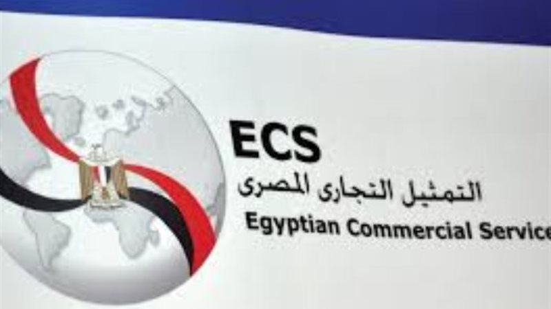 قطاع التمثيل التجاري