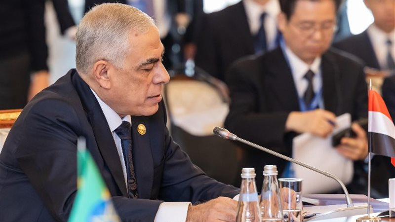المستشار محمد شوقى النائب العام