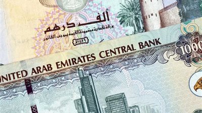 سعر الدرهم الإماراتي مقابل الجنيه المصري اليوم الاثنين 24-6-2024