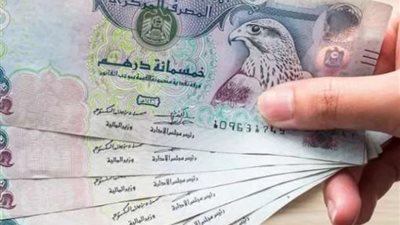 سعر الدرهم الإماراتي أمام الجنيه المصري اليوم الخميس 27-6-2024
