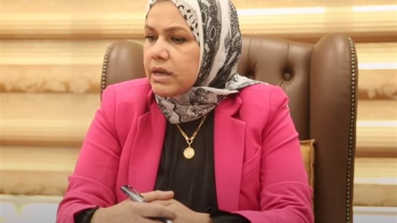 رئيس الضرائب المصرية