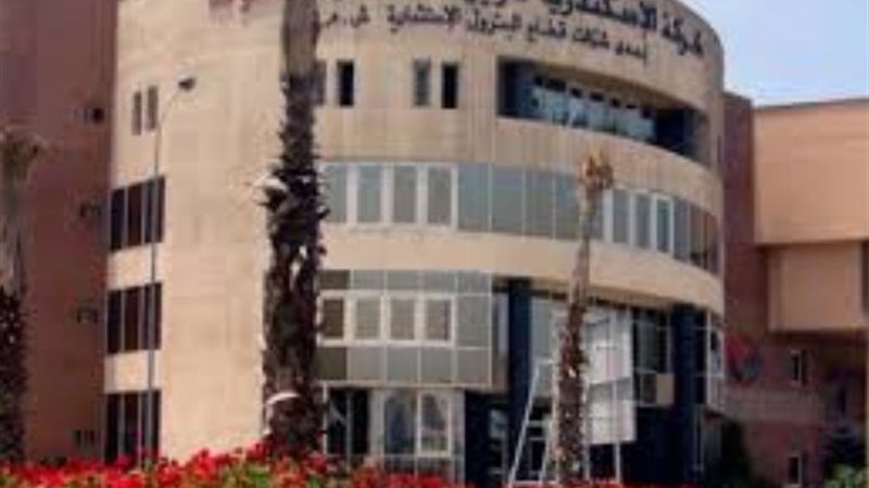 شركة الإسكندرية للزيوت المعدنية «أموك»