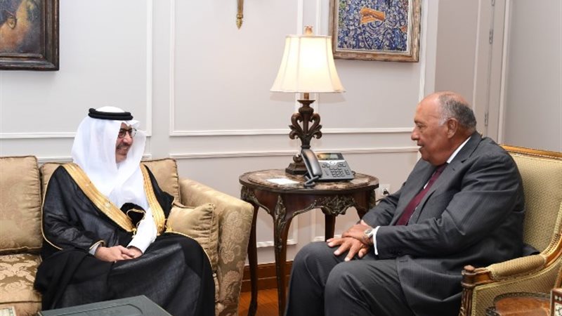 السفير السعودي مع سامح شكري