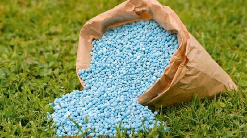 شكارة سماد_أرشيفية