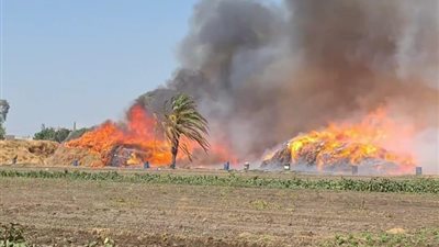 «50 مليون» خسائر حريق شونة كتان بالغربية