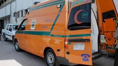 مصرع شخصين وإصابة آخرين في مشاجرة دامية بقنا